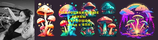 молекула духа Горняк