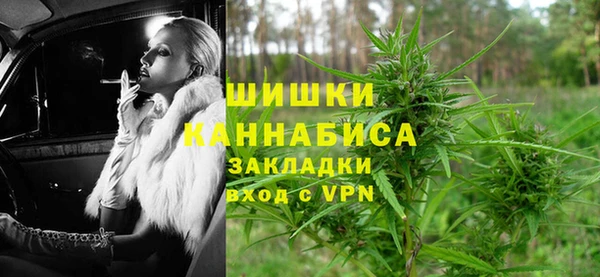 молекула духа Горняк