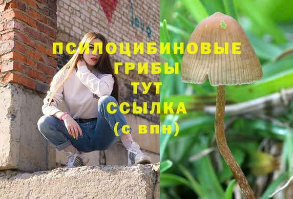молекула духа Горняк